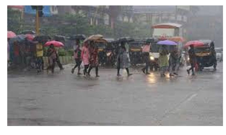 Heavy Rain: ಪುತ್ತೂರು ಸೇರಿದಂತೆ 4 ತಾಲೂಕಿನ ಶಾಲಾ ಕಾಲೇಜಿಗೆ ಜು.19ಕ್ಕೆ ರಜೆ