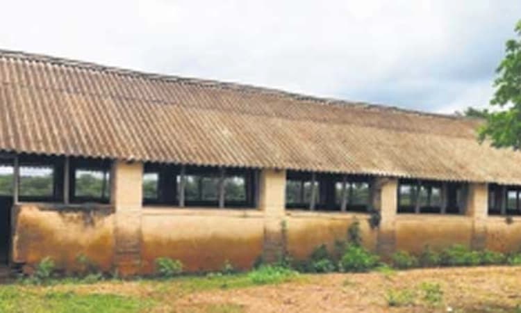 ಹಾವೇರಿ: ಐದು ವರ್ಷದಲ್ಲಿ 350 ಕುರಿಗಳ ಸಾವು! ಕೇಂದ್ರದ ಕಾರ್ಯವೈಖರಿ ಬಗ್ಗೆ ಅನುಮಾನ