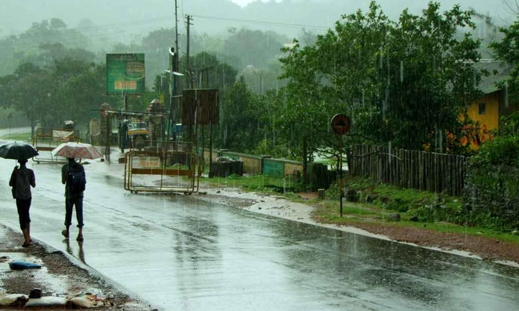 Monsoon in Agumbe: ಆಗುಂಬೆಯಲ್ಲಿ ಒಂದೇ ದಿನ 33 ಸೆಂ.ಮೀ. ಮಳೆ ದಾಖಲು