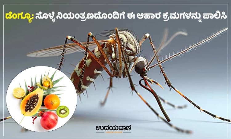 Dengue: ಸೊಳ್ಳೆ ನಿಯಂತ್ರಣದೊಂದಿಗೆ ಈ ಆಹಾರ ಕ್ರಮಗಳನ್ನು ಪಾಲಿಸಿ