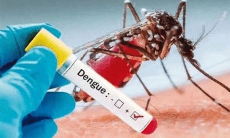 Dengue fever :ಹಾಸನದಲ್ಲಿ ಮತ್ತೊಬ್ಬ ಬಾಲಕ ಬಲಿ