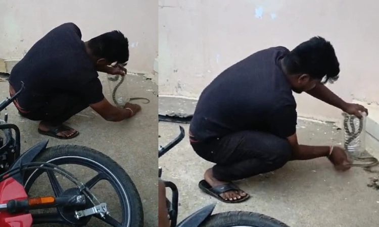 Kampli: ಬೈಕ್ ನಲ್ಲಿ ಅಡಗಿ ಕುಳಿತ ನಾಗರ ಹಾವು… ಪಕ್ಕದಲ್ಲೇ ಆಟವಾಡುತ್ತಿದ್ದ ಮಕ್ಕಳು
