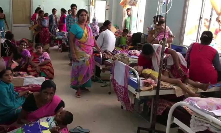Suspected ಚಂಡೀಪುರ ವೈರಸ್‌ಗೆ ಗುಜರಾತ್‌ನಲ್ಲಿ ನಾಲ್ಕು ಮಕ್ಕಳು ಸಾವು