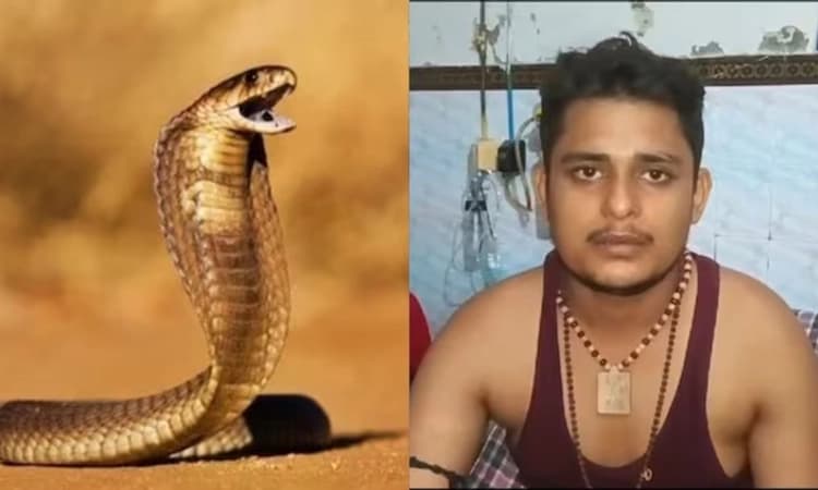 Miracle: 40 ದಿನದಲ್ಲಿ 7ಬಾರಿ ಹಾವು ಕಚ್ಚಿದರೂ ಬದುಕುಳಿದ ಯುವಕ, ಇದೊಂದು ಪವಾಡ ಎಂದ ವೈದ್ಯರು