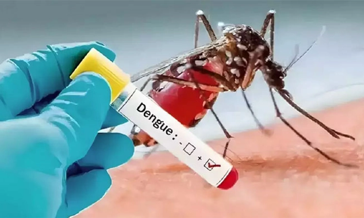 Dengue Case ರಾಜ್ಯದಲ್ಲಿ ಒಂದೇ ದಿನದಲ್ಲಿ 437 ಡೆಂಗ್ಯೂ ಪ್ರಕರಣ