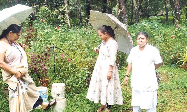 Belthangady: 6 ತಿಂಗಳಲ್ಲಿ 34 ಡೆಂಗ್ಯೂ ದೃಢ; ಕೇವಲ 40 ದಿನಗಳಲ್ಲಿ 32 ಪ್ರಕರಣಗಳು ದಾಖಲು!