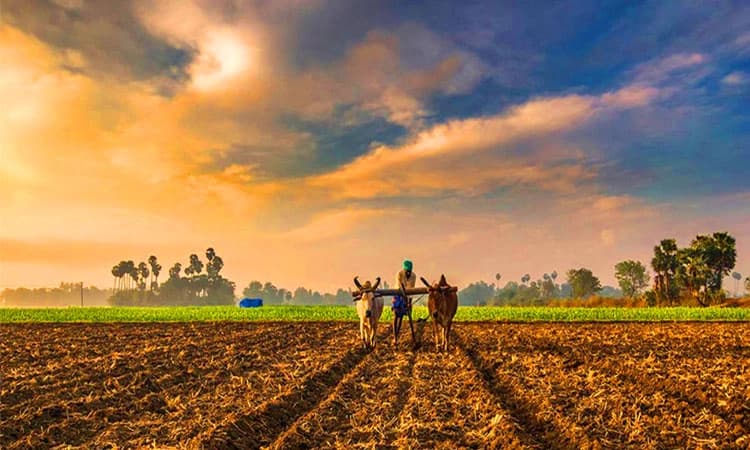 Farmer: ಅನ್ನ ದೇವರ ಮುಂದೆ ಅನ್ಯ ದೇವರು ಉಂಟೇ?