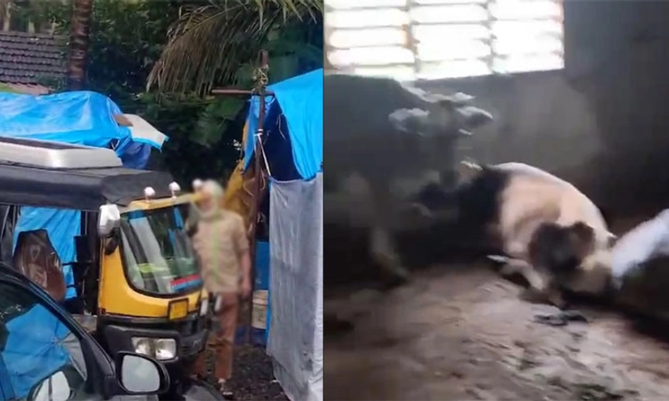 Surathkal: ಅಕ್ರಮ ಕಸಾಯಿಖಾನೆ ಮೇಲೆ ಪೊಲೀಸರ ದಾಳಿ: ಮೂವರು ಆರೋಪಿಗಳು ಪರಾರಿ