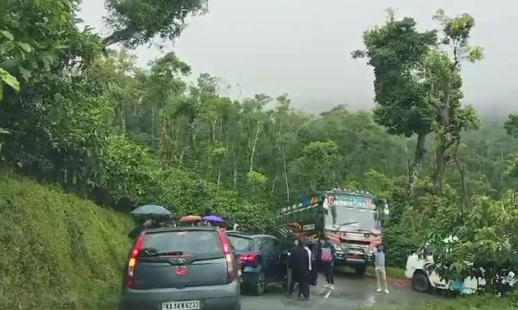 Chikmagalur; ದೇವರಮನೆ ಗುಡ್ಡದಲ್ಲಿ ಪ್ರವಾಸಿಗರ ದಂಡು; ಟ್ರಾಫಿಕ್ ನಲ್ಲಿ ಸಿಲುಕಿದ ಟೂರಿಸ್ಟ್