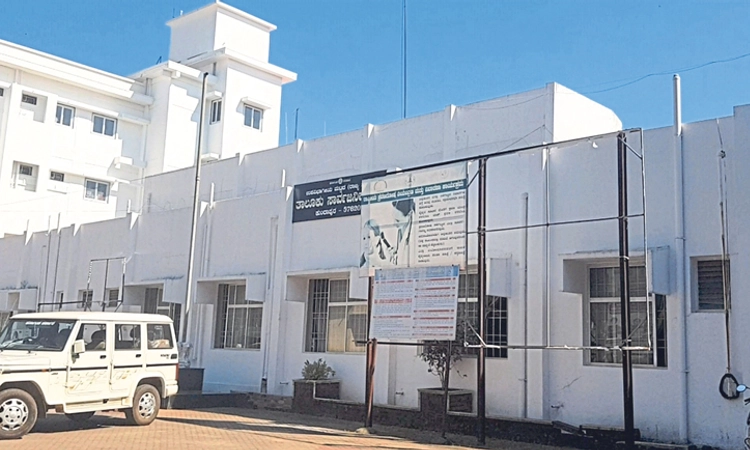 Dengue: ಕುಂದಾಪುರದಲ್ಲಿ 6 ತಿಂಗಳಲ್ಲಿ 76 ಮಂದಿಗೆ ಡೆಂಗ್ಯೂ