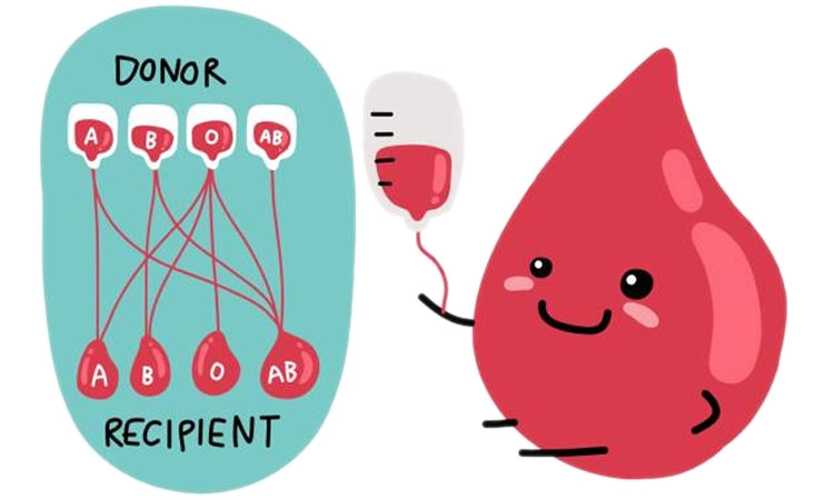 Blood Group: ಚಿನ್ನದ ರಕ್ತದ ಗುಂಪಿನ ಬಗ್ಗೆ ನಿಮಗಿದು ಗೊತ್ತೆ?