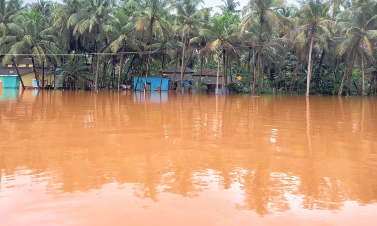 Heavy Rain ನಾವುಂದ, ಸಾಲ್ಬುಡಾ, ಅರೆಹೊಳೆ ಜಲಾವೃತ; ನೂರಕ್ಕೂ ಮಿಕ್ಕಿ ಮನೆಗಳು ದಿಗ್ಬಂಧನ
