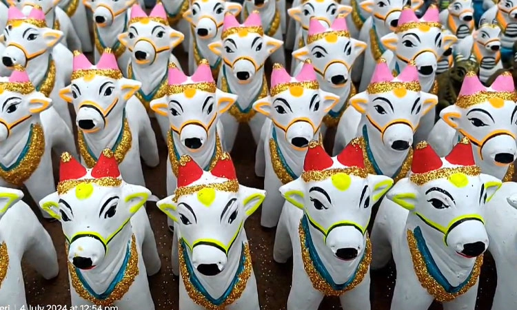 Uttara Kannada ರೈತಾಪಿ ವರ್ಗದ ಮಿನಿ ಸಂಕ್ರಾಂತಿ ಹಬ್ಬಕ್ಕೆ ಸಿದ್ಧತೆ