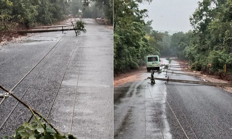 Sagara: ಮಳೆಯ ಆರ್ಭಟಕ್ಕೆ ಸಾಲು ಸಾಲು ವಿದ್ಯುತ್ ಕಂಬಗಳು ಧರಾಶಾಹಿ