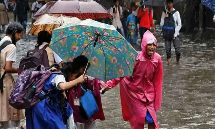 Heavy Rain: ಬೆಳ್ತಂಗಡಿ, ಬಂಟ್ವಾಳ ತಾಲೂಕಿನ ಶಾಲೆಗಳಿಗೆ ರಜೆ ಘೋಷಣೆ