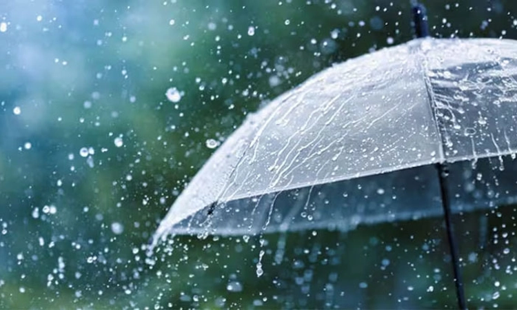Rain ದಕ್ಷಿಣ ಕನ್ನಡ: ನಾಲ್ಕು ದಿನ ಎಲ್ಲೋ ಅಲರ್ಟ್‌