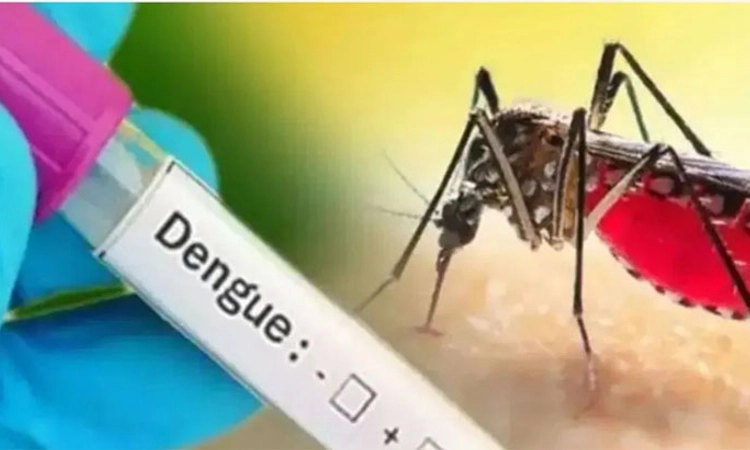 Dengue Cases ತಿಂಗಳಲ್ಲಿ 2,300ಕ್ಕೂ ಅಧಿಕ ಡೆಂಗ್ಯೂ ಪ್ರಕರಣ