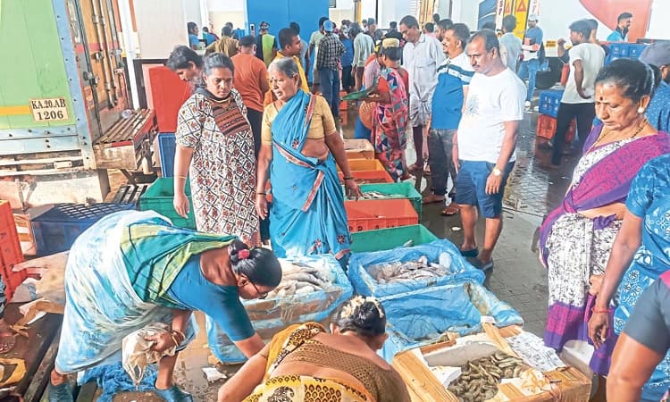 Udupi ಮಲ್ಪೆಗೆ ಹೊರರಾಜ್ಯದ ಮೀನು ಆವಕ : ಕರಾವಳಿಯಲ್ಲಿ ಮೀನುಗಾರಿಕೆ ನಿಷೇಧ