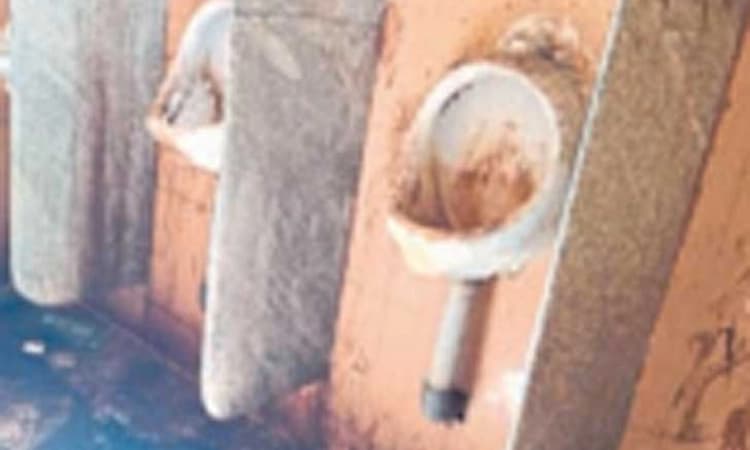 ಗಬ್ಬೆದ್ದು ನಾರುತ್ತಿದೆ ಆದಿ ಉಡುಪಿ ಮಾರುಕಟ್ಟೆ ಶೌಚಾಲಯ