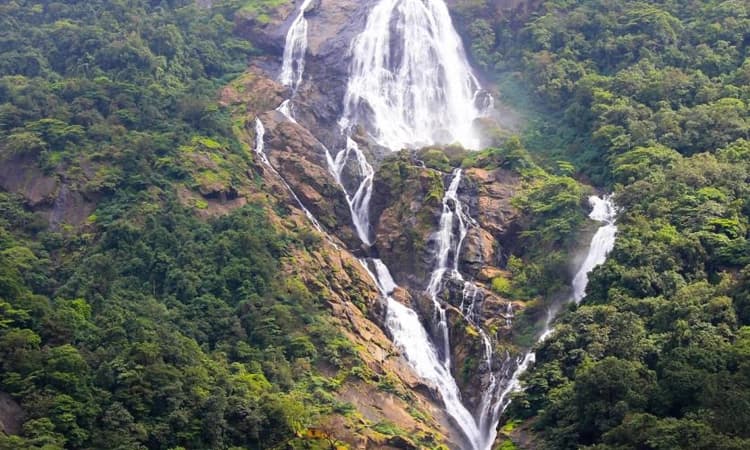 Panaji: ಗೋವಾದ ಸಂರಕ್ಷಿತ ಅರಣ್ಯ ಪ್ರದೇಶಗಳಲ್ಲಿನ ಜಲಪಾತಗಳಿಗೆ ಪ್ರವೇಶ ನಿಷೇಧ