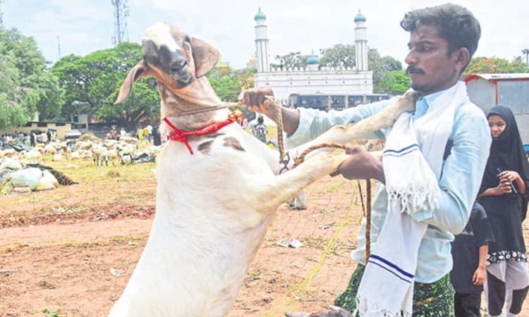 Bengaluru: ಬಕ್ರೀದ್‌ ನಿಮಿತ್ತ ನಾಳೆ ಹಲವೆಡೆ ಸಂಚಾರ ನಿರ್ಬಂಧ