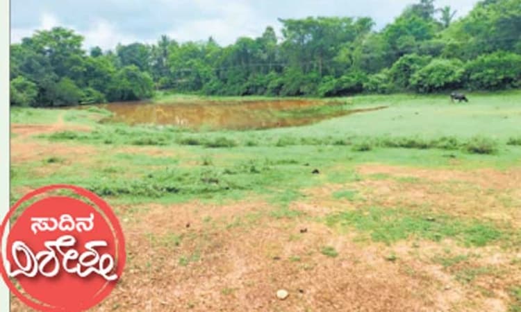 ಮೂಡುಬಿದಿರೆ: ಬಸವನ ಕಜೆ ಕೆರೆಗೆ ಕಾಯಕಲ್ಪ ಖುಷಿ