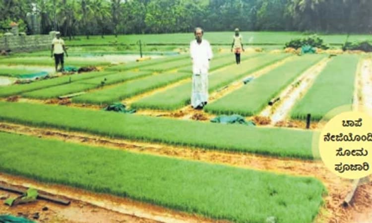 ಹಡಿಲು ಭೂಮಿಯಲ್ಲಿ ಕೃಷಿಗೆ ಸಿದ್ಧತೆ; ಗುತ್ತಿಗೆ ಆಧಾರದ ಬೇಸಾಯಕ್ಕೆ ಬೇಡಿಕೆ ಹೆಚ್ಚಳ