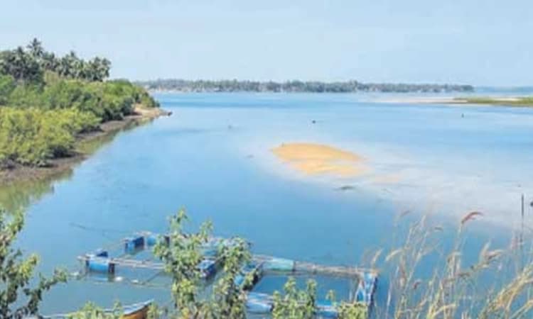 ಕುಂದಾಪುರ ನಗರಕ್ಕೆ ನೆರೆ ಭೀತಿ ಸಾಧ್ಯತೆ; ಮೀನುಗಾರಿಕೆ, ಚಿಪ್ಪು ಸಂಗ್ರಹಕ್ಕೆ ಸಂಕಷ್ಟ