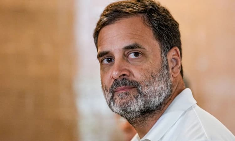 ರಾಯ್‌ಬರೇಲಿಯೋ? ವಯನಾಡೋ? ಯಾವುದು ರಾಗಾ ಆಯ್ಕೆ