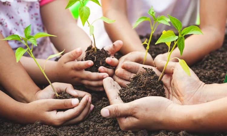 World Environment day: ಪರಿಸರ ರಕ್ಷಣೆ ಪ್ರತಿಯೊಬ್ಬನ ತಾತ್ವಿಕ ಹೊಣೆ