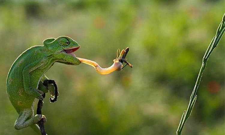 Selfish: ನಿಸರ್ಗದಲ್ಲಡಗಿದೆ ಸ್ವಾರ್ಥ&#8230;