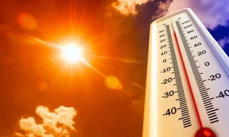 Heatwave: ಉತ್ತರ ಭಾರತದಲ್ಲಿ ನಿಲ್ಲದ ಬಿಸಿಲಿನ ಪ್ರಕೋಪ- ಒಟ್ಟು 39 ಮಂದಿ ಸಾವು