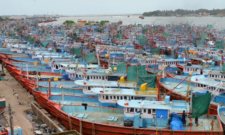 Mangaluru: ಮತ್ಸ್ಯ ಕ್ಷಾಮದೊಂದಿಗೆ ಆಳಸಮುದ್ರ ಮೀನುಗಾರಿಕೆ ಅಂತ್ಯ