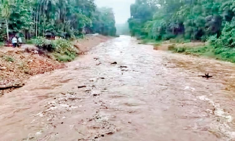 Subrahmanya ಪರಿಸರದಲ್ಲಿ ಧಾರಾಕಾರ ಮಳೆ: ಕೆಲವೆಡೆ ಹಾನಿ