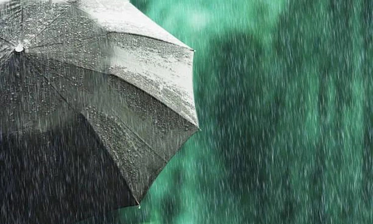 First Rain: ರಂಗು ರಂಗಿನ ಮೊದಲ ಮಳೆ