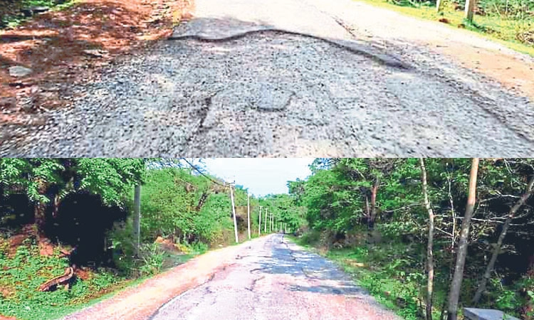 Road potholes: ಪ್ರವಾಸಿಗರ ಪ್ರಾಣ ಹಿಂಡುವ ಗುಂಡಿ ಬಿದ್ದ ರಸ್ತೆ!