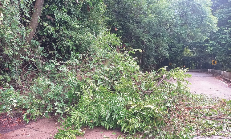 ಮಳೆಗಾಲಕ್ಕೆ ಸಜ್ಜುಗೊಂಡಿಲ್ಲ ನಾಗೋಡಿ ಘಾಟಿ