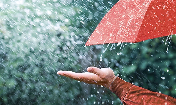 Rain ಕರಾವಳಿಯಲ್ಲಿ ಸಾಧಾರಣ ಮಳೆ; ಇಂದು “ಎಲ್ಲೋ ಅಲರ್ಟ್‌’