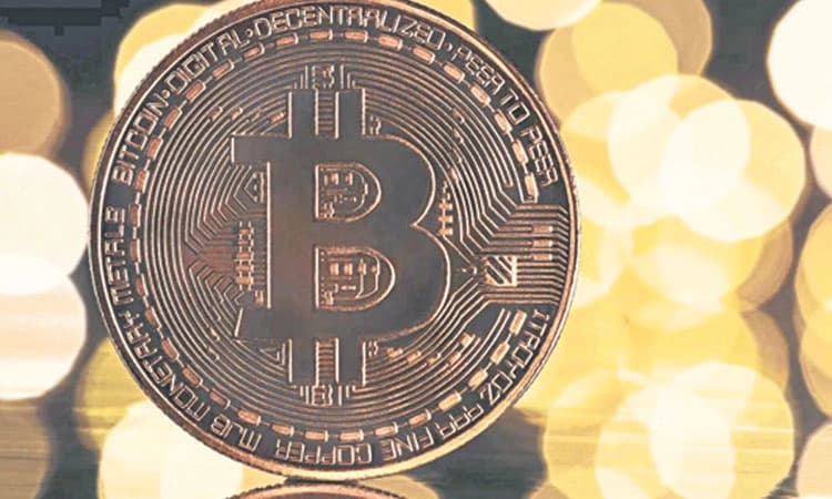 Arrested: 34.82 ಕೋಟಿ ರೂ.ನ ಬಿಟ್‌ಕಾಯಿನ್‌ ಕಳ್ಳತನ; ಆರೋಪಿಯ ಬಂಧನ