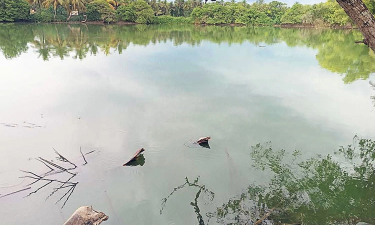 Malpe ಪುನರುಜ್ಜೀವನಕ್ಕಾಗಿ ಕಾಯುತ್ತಿದೆ ತೊಟ್ಟಂ ಕುಮೆ ಕೆರೆ