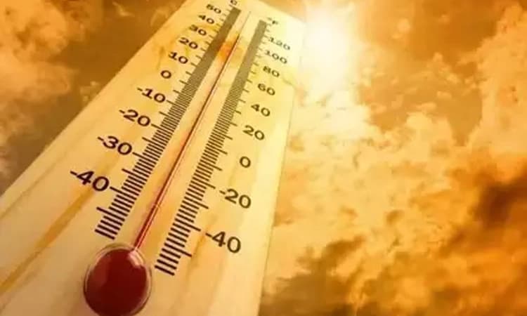 Highest Temperature; ರಾಜಸ್ಥಾನದ ಫ‌ಲೋಡಿಯಲ್ಲಿ 50 ಡಿಗ್ರಿಗೆ ಏರಿದ ತಾಪ!