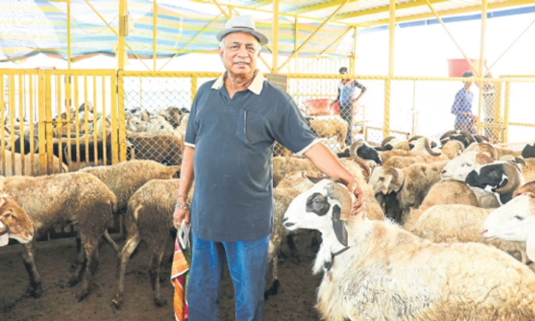 Sheep Farming: ಸಹಕಾರ ರಂಗಕ್ಕೂ ಸೈ… ಕೃಷಿ ರಂಗಕ್ಕೂ ಜೈ!