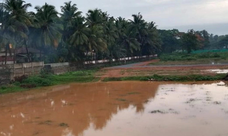 Udupi; ಗುಡುಗು ಸಿಡಿಲಿಗೆ ಬೆಚ್ಚಿಬಿದ್ದ ಜನತೆ, ತಡರಾತ್ರಿ ಧಾರಕಾರ ಮಳೆಗೆ ಹಲವೆಡೆ ಕೃತಕ ನೆರೆ