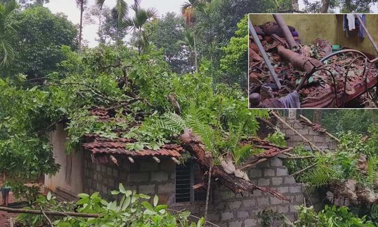 Kalasa: ಗಾಳಿ-ಮಳೆಗೆ ಮನೆ ಮೇಲೆ ಬಿದ್ದ ಬೃಹತ್ ಮರ… ಅಪಾಯದಿಂದ ಪಾರಾದ ಮನೆಮಂದಿ