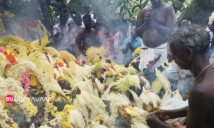 Kutyaru Muldottu: ವರ್ಷಕ್ಕೊಮ್ಮೆ ತಂಪೆರೆಯುವ ನಾಗಬನದಲ್ಲಿ ವಾರ್ಷಿಕ ಪೂಜೆ
