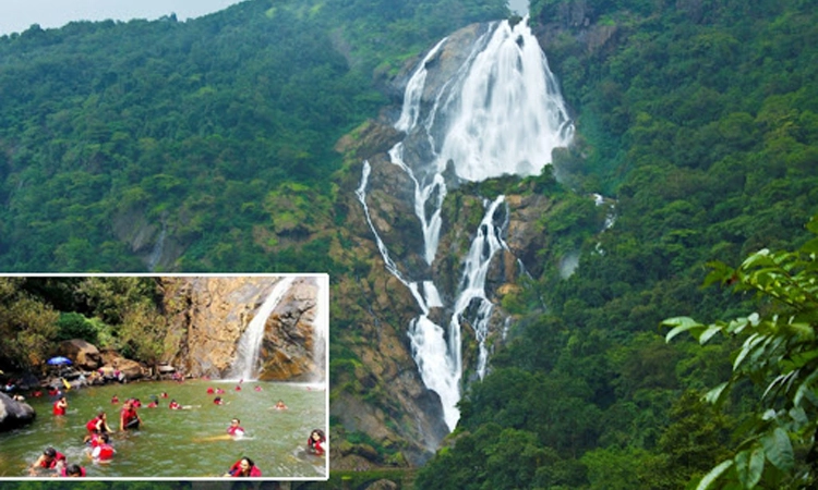 Dudhsagar: ದೂದ್ ಸಾಗರ ಜಲಪಾತದಲ್ಲಿ ಮುಳುಗುತ್ತಿದ್ದ 3 ವರ್ಷದ ಬಾಲಕಿಯ ರಕ್ಷಣೆ