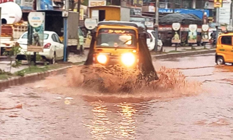 Rain ಕರಾವಳಿಯಾದ್ಯಂತ ಮುಂದುವರಿದ ಮಳೆ