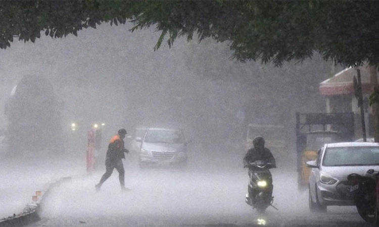 Rain ಕಾಸರಗೋಡಿನಾದ್ಯಂತ ಬಿರುಸಿನ ಮಳೆ: ಇಬ್ಬರ ಸಾವು