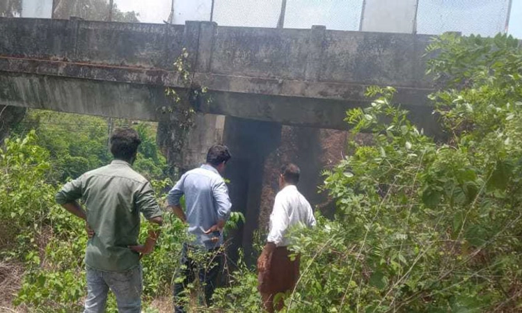 Kota ಮಧುವನ; ರೈಲ್ವೇ ಹಳಿ ಪಕ್ಕದಲ್ಲಿ ಬೆಂಕಿ ಅಗ್ನಿಶಾಮಕದಳ ಕಾರ್ಯಚರಣೆ
