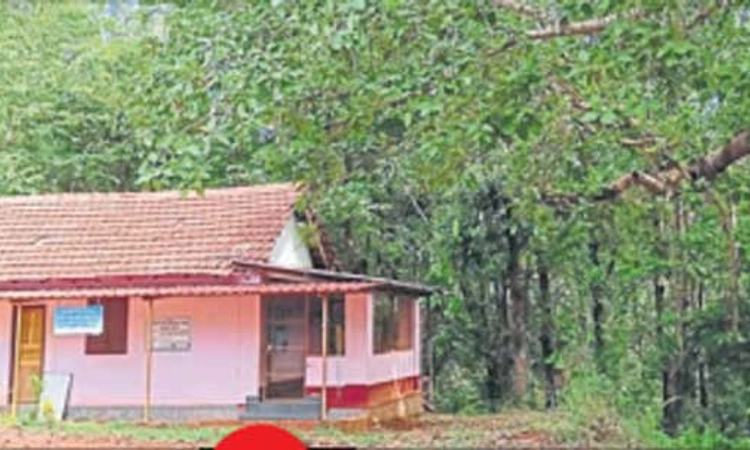 ಬೆಳ್ತಂಗಡಿ: ಪುಟಾಣಿಗಳ ಮೇಲೆ ವೃಕ್ಷ ರಾಜನ ಕರಿನೆರಳು